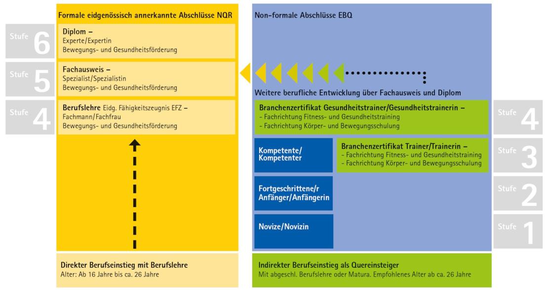 schule-fuer-bewegung-zuerich-ausbildung-in-koerper-und-bewegungsschulung-bildungsabschlüsse